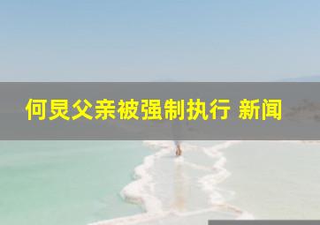 何炅父亲被强制执行 新闻